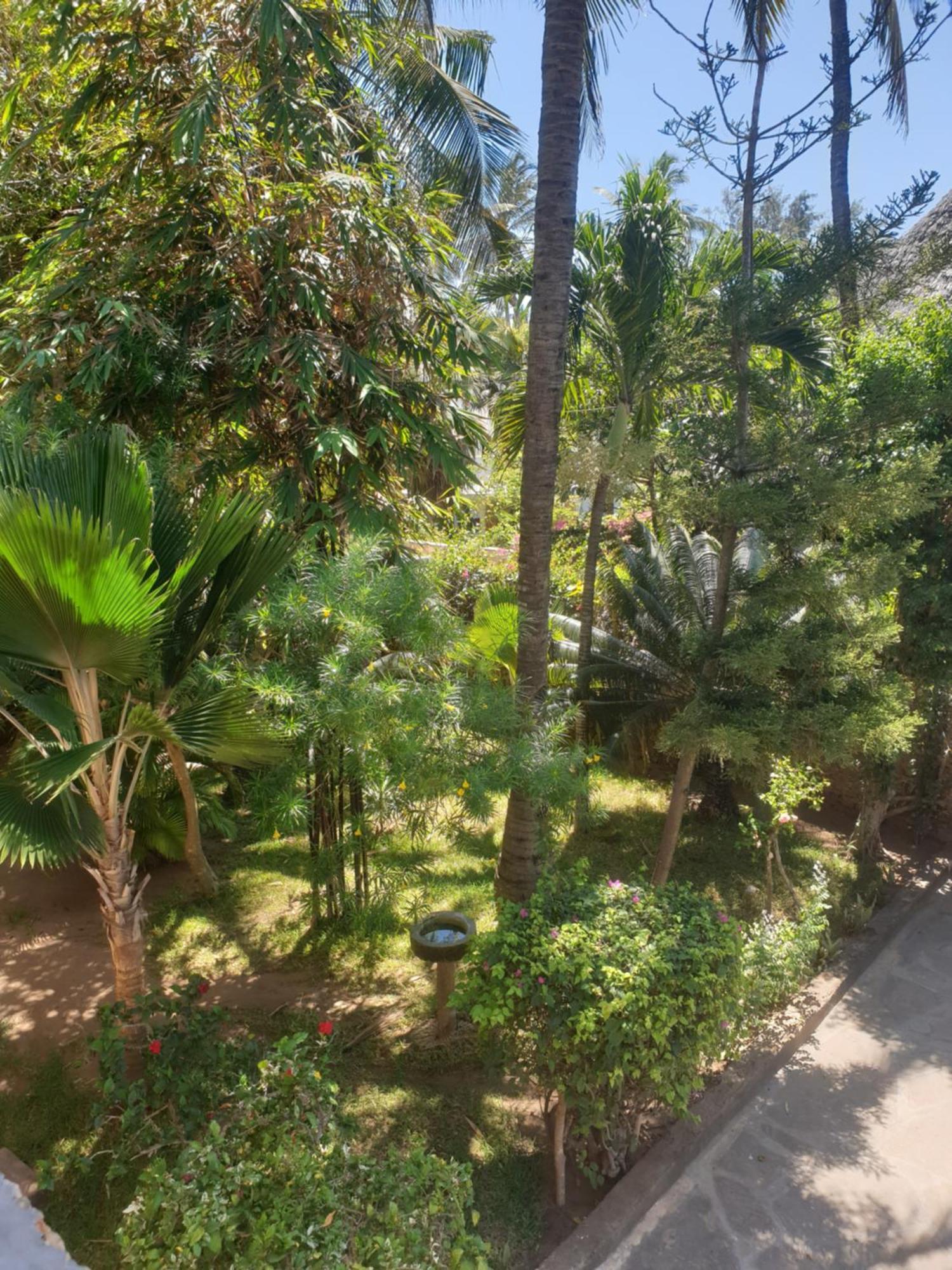 Marijani Holiday Resort Ватаму Екстериор снимка