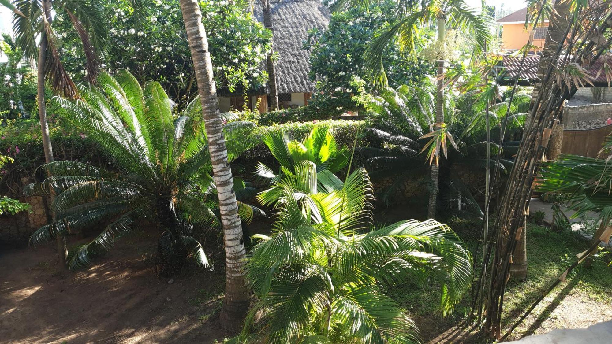 Marijani Holiday Resort Ватаму Екстериор снимка